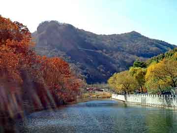 管家婆免费正版资起大全，都市邪帝